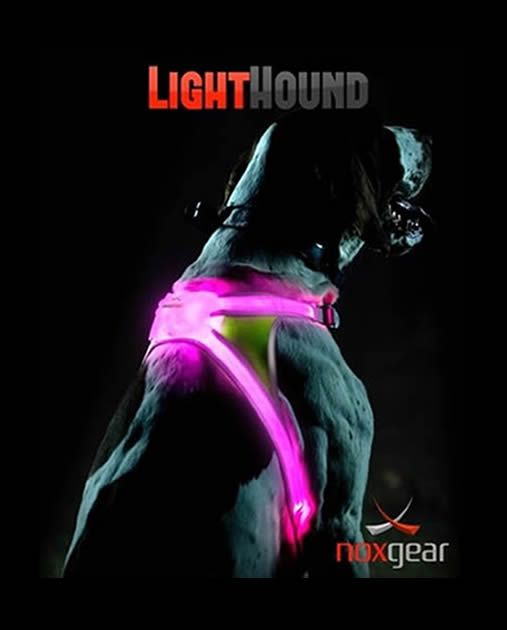Noxgear LightHound - Illuminating Reflective Vest for Dogs. Multicolored LED Fiber Optics (USB Rechargeable, Adjustable, Lightweight, Rainproof).